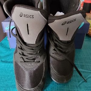 Brand new wrestling shoes.